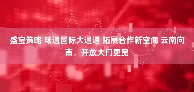 盛宝策略 畅通国际大通道 拓展合作新空间 云南向南，开放大门更宽