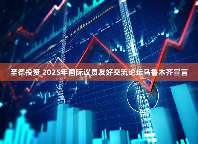 至德投资 2025年国际议员友好交流论坛乌鲁木齐宣言
