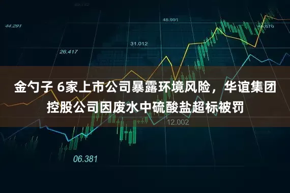 金勺子 6家上市公司暴露环境风险，华谊集团控股公司因废水中硫酸盐超标被罚