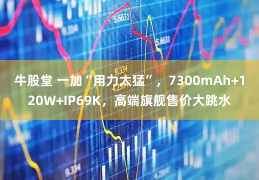 牛股堂 一加“用力太猛”，7300mAh+120W+IP69K，高端旗舰售价大跳水